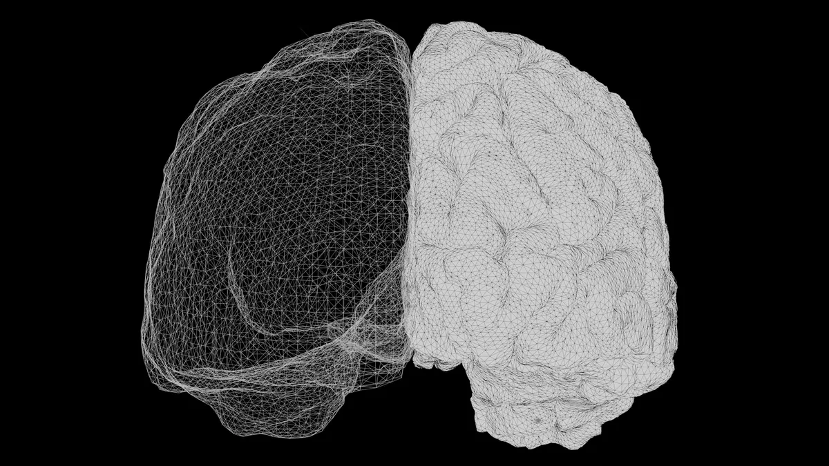 A wireframe rendering of a human brain, one half meshed and one half solid.